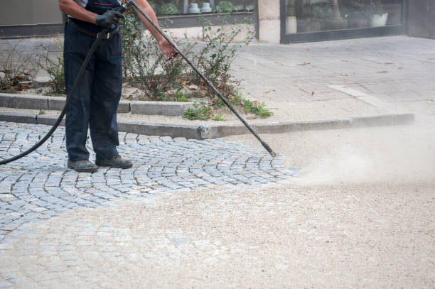 Best Roof Washing  in Temesl Valley, CA